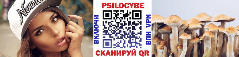 Псилоцибиновые грибы Magic Shrooms  Нюрба 