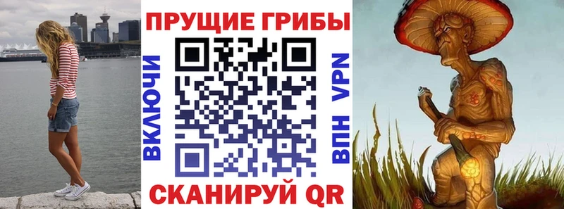 Псилоцибиновые грибы Psilocybe Нюрба